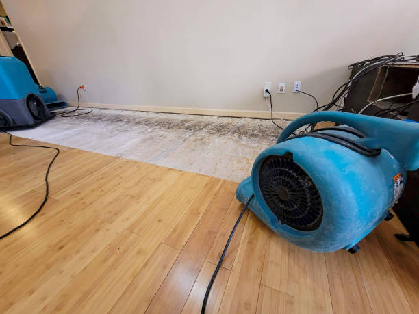 Professional Water Removal technician working in Government Camp, OR
